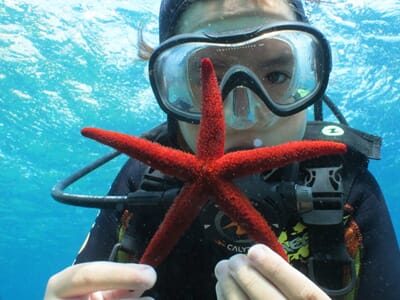 box cadeau Baptême plongée