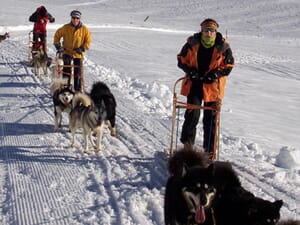 balade en chiens de traîneaux