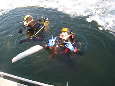 Plongée sous glace