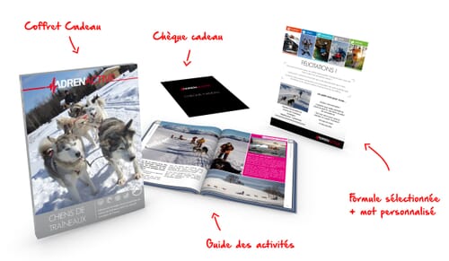 Coffret Cadeau Chiens de Traîneaux