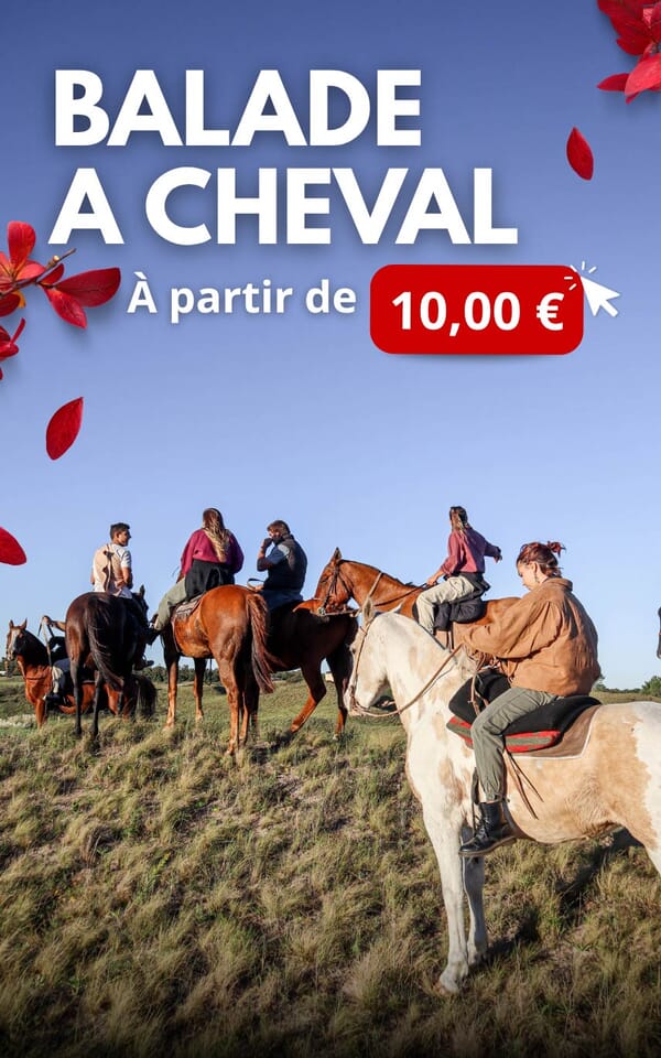 Banni&egrave;re balade &agrave; cheval