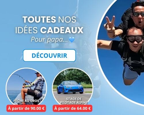 Bannières idées cadeaux Fête ds pères