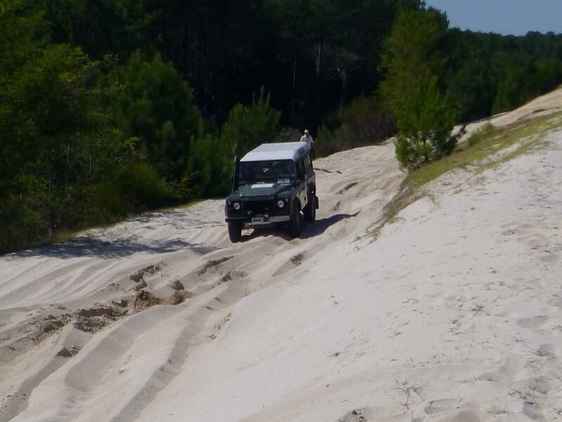 Pick-up rose vif roulant sur un terrain sablonneux clair avec des arbres verts.
