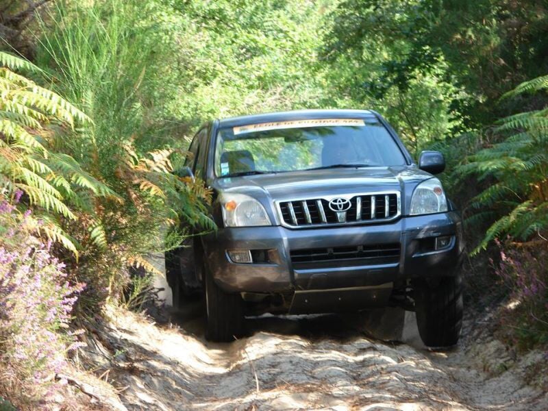 SUV gris évoluant sur un sentier étroit entouré de végétation dense en forêt.
