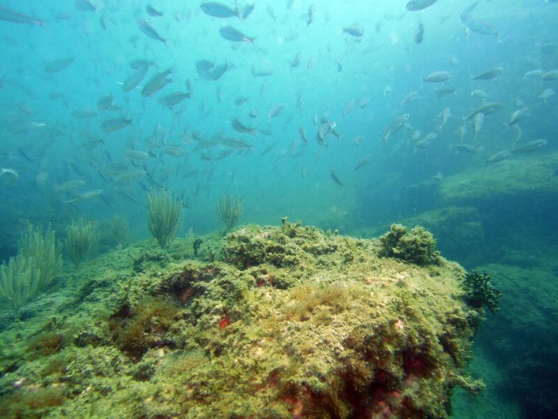 Baptême de Plongée au Cap d'Agde