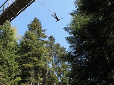 Saut à l'Elastique au Lac de Pierre-Percée