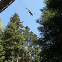 avis Saut à l'Elastique au Lac de Pierre-Percée