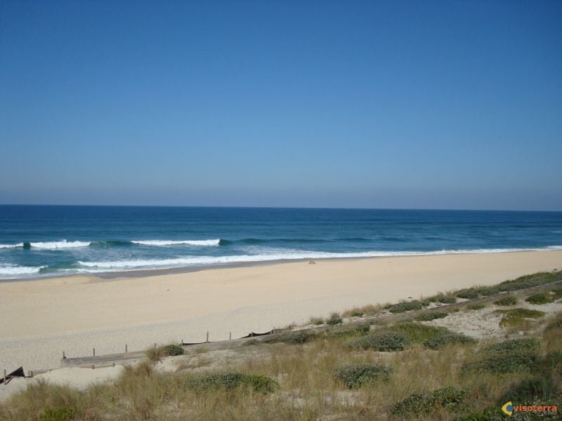Plage de sable fin bordée par l'océan avec des vagues douces et un ciel bleu sans nuages.