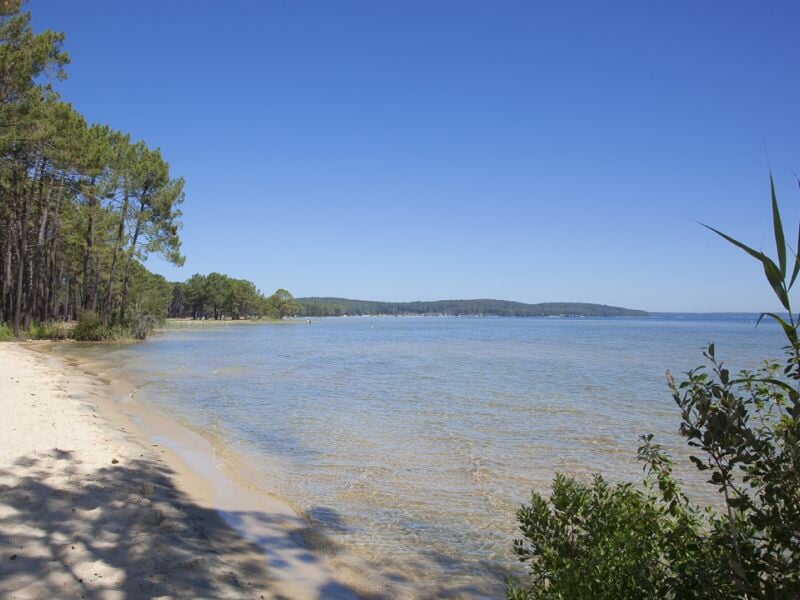 Lac paisible entouré d'arbres verts sous un ciel bleu clair avec une rive sablonneuse au premier plan.