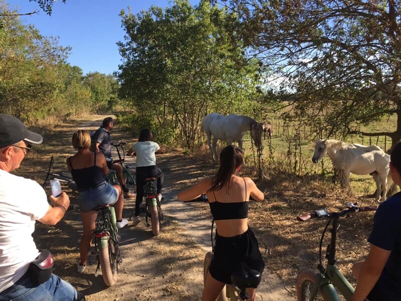 Groupe de personnes à vélo électrique observant deux chevaux blancs sur un chemin ombragé en pleine nature.