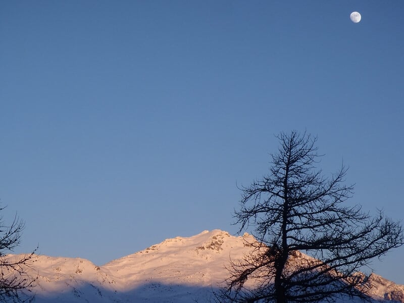 Montagne enneigée au coucher du soleil avec un ciel bleu clair et un arbre sans feuilles au premier plan.