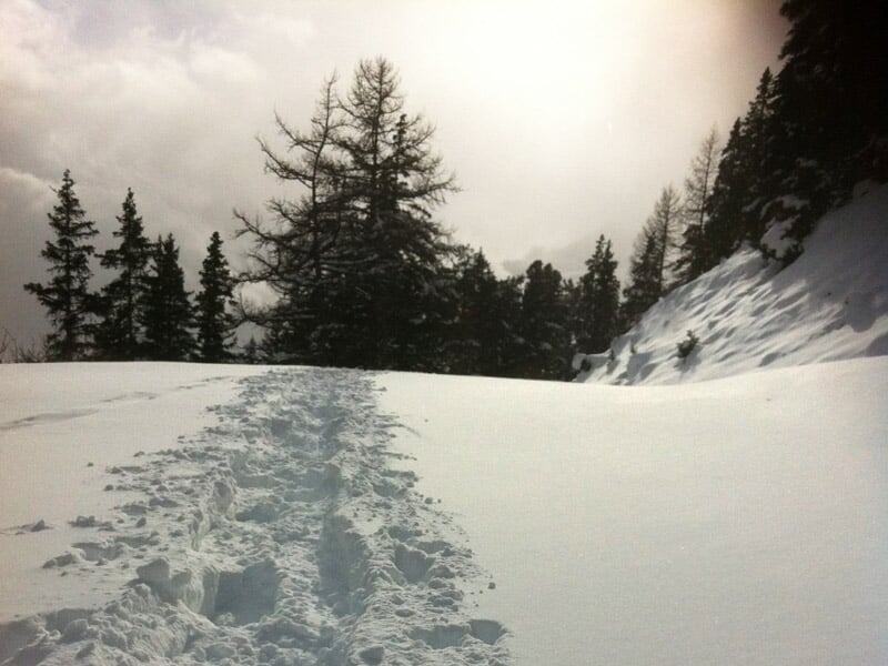 Sentier de neige fraîche avec traces de pas, entouré d'arbres enneigés sous un ciel nuageux.