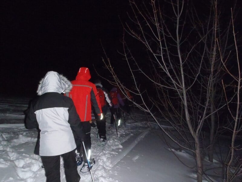 Groupe de personnes en raquettes marchant de nuit sur un sentier enneigé bordé d'arbres.