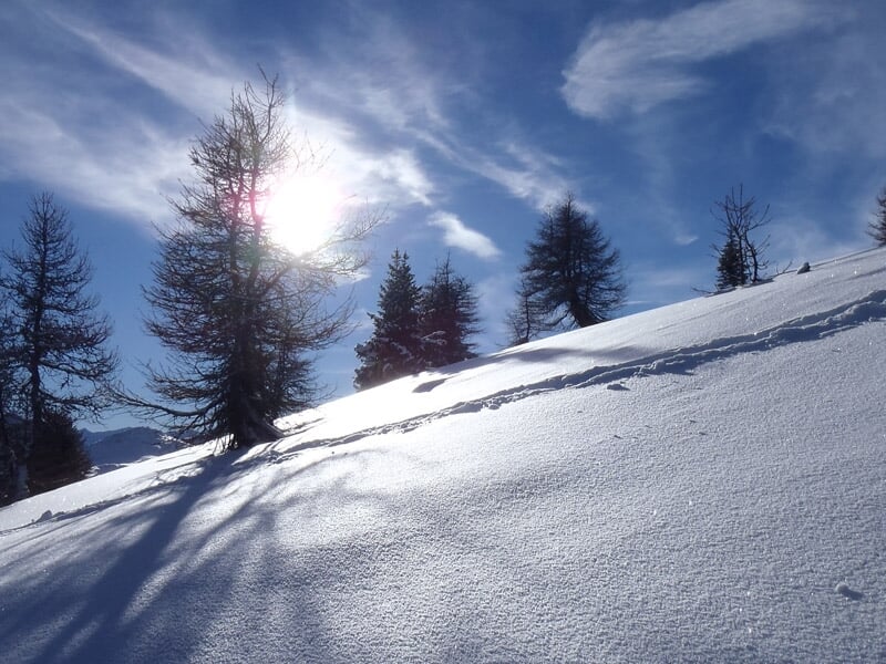 Paysage enneigé avec soleil brillant à travers les arbres et ombres sur la neige.