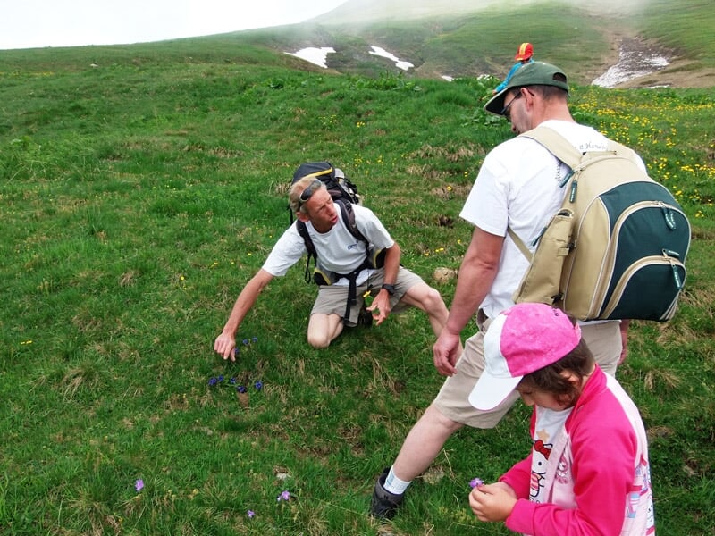 Trois randonneurs en tenue d'été observant des fleurs dans un champ verdoyant en montagne.