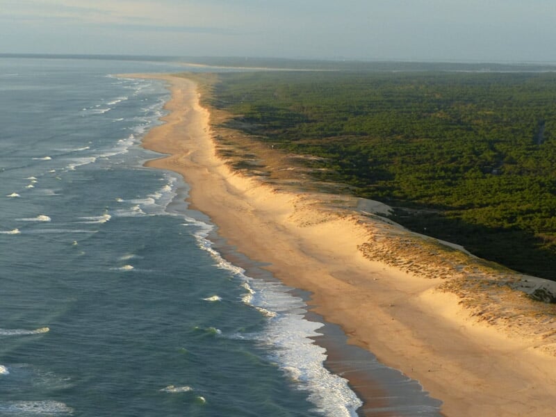 Longue plage de sable doré bordée par des vagues, avec une dense forêt en arrière-plan, éclairée par une lumière douce de fin de journée