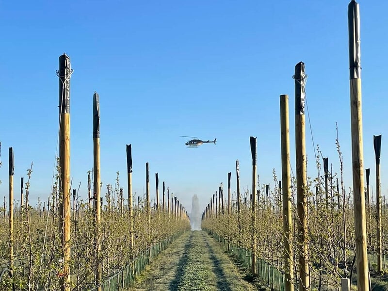 un hélicoptère survole des vignobles