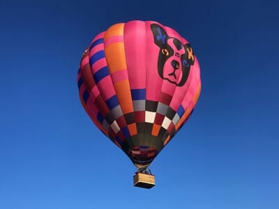 Vol en Montgolfière près de Toulouse - Survol d'Albi dans le Tarn