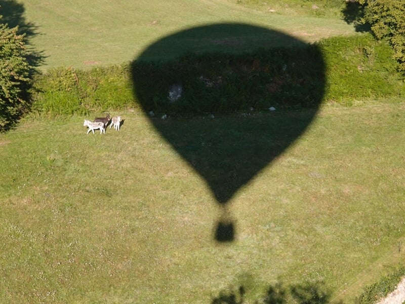 Ombre d’une montgolfière projetée sur une prairie verdoyante où paissent deux ânes