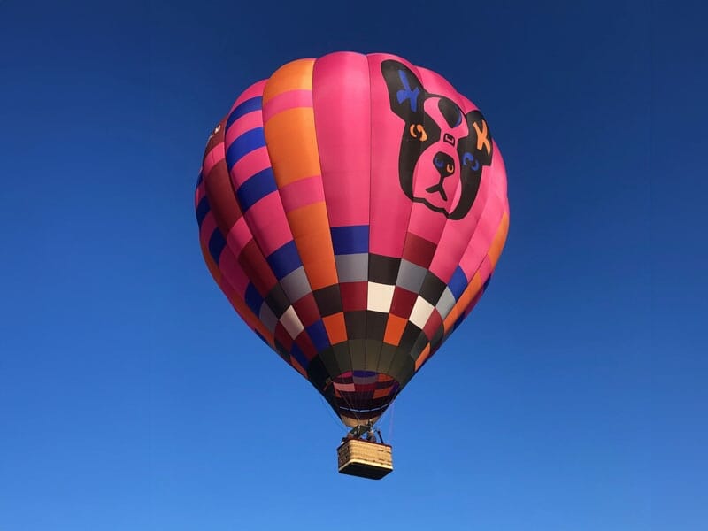 Montgolfière rose ornée d’un motif de chien, flottant dans un ciel parfaitement bleu