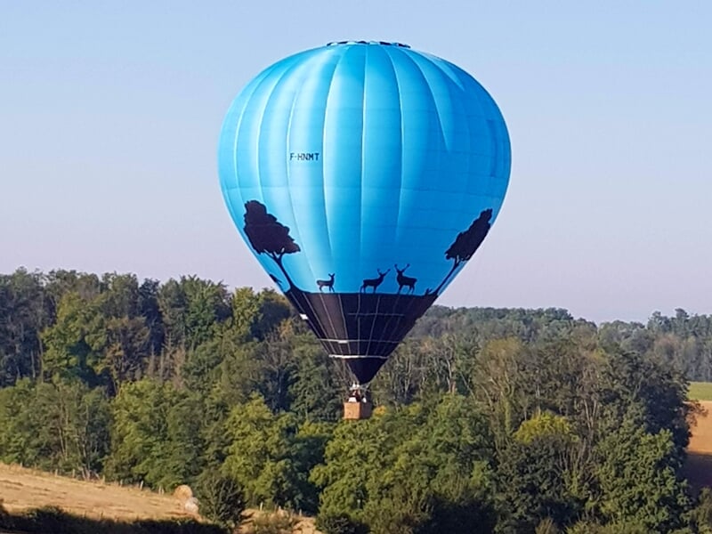Montgolfière bleue volant au-dessus d'une forêt avec des silhouettes d'animaux sauvages sur sa toile