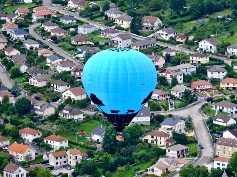 Montgolfière bleue avec des silhouettes noires d'arbres et d'animaux survolant un quartier résidentiel