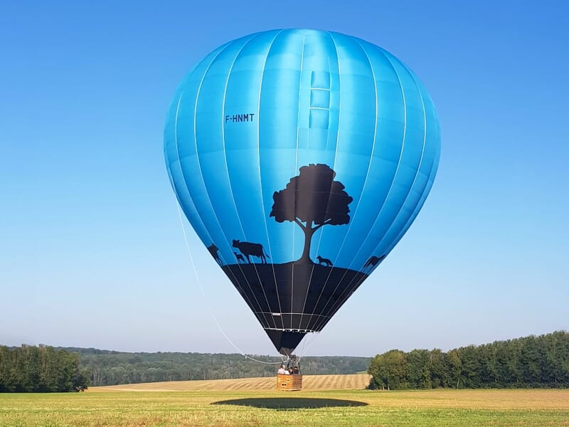 une montgolfière bleue posée dans un champ dégagé et entouré de bois