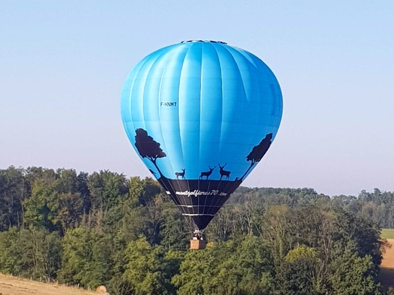 Montgolfière bleue avec des motifs d'arbres et d'animaux s'élevant au-dessus d'une forêt dense par temps clair