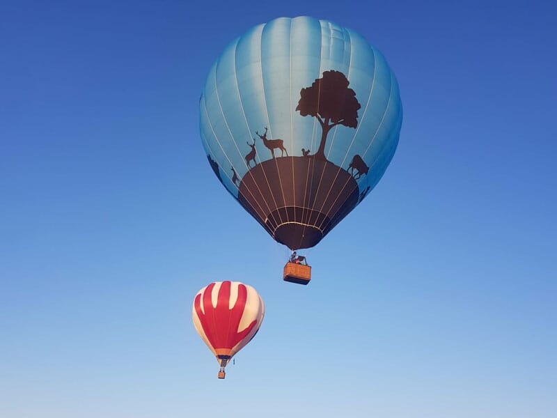 Deux montgolfières en vol sous un ciel bleu dégagé, l'une bleue avec des motifs d'animaux et l'autre rouge et blanche