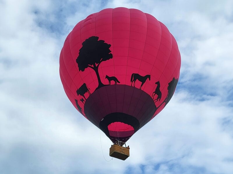 Montgolfière rose avec des silhouettes d'animaux, flottant sous un ciel nuageux, panier suspendu en dessous