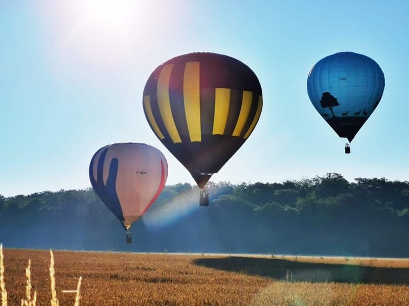 Trois montgolfières colorées s'élevant au-dessus d'un champ au lever du soleil, contre un fond de forêt