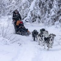 avis Balade en Chiens de Traîneaux ou Cani-Kart en Auvergne près d'Aurillac