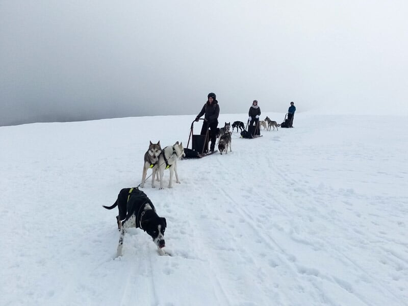 Deux personnes sur des traîneaux tirés par des chiens sur un vaste paysage enneigé et brumeux.