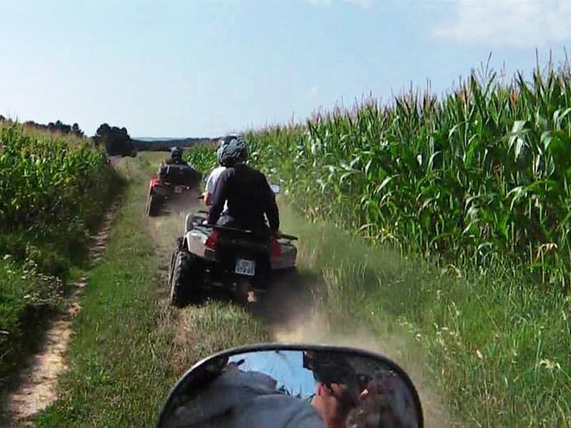 Groupe de personnes en quad roulant sur un chemin de campagne bordé de champs de maïs verts.