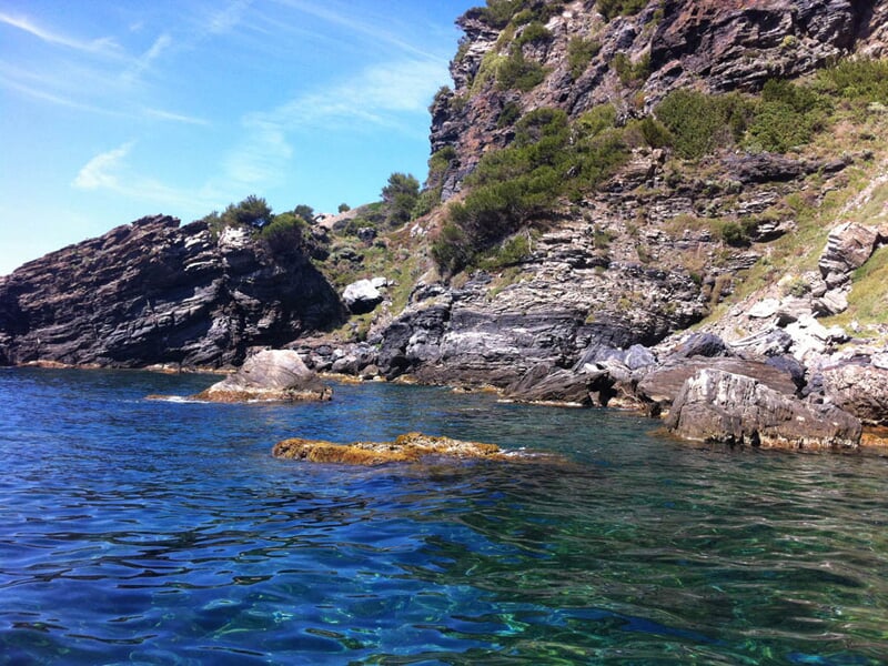 Vue d'une côte rocheuse avec des arbres verts et une mer claire aux eaux turquoise sous un ciel bleu.