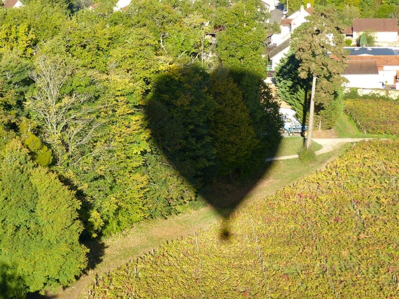 Ombre en forme de montgolfière projetée sur un champ et des arbres vus depuis la nacelle en vol.