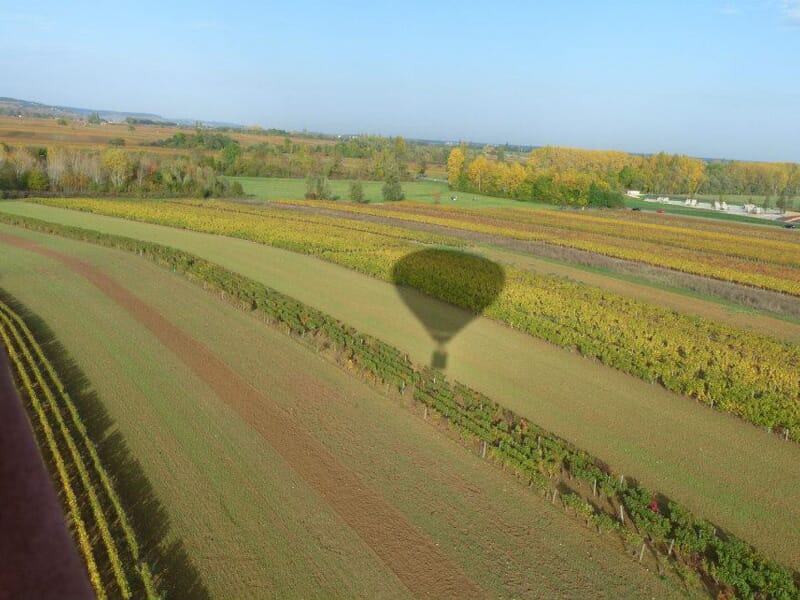 Ombre d’une montgolfière projetée sur des champs verdoyants, bordés de haies, dans un paysage rural baigné de lumière matinale.