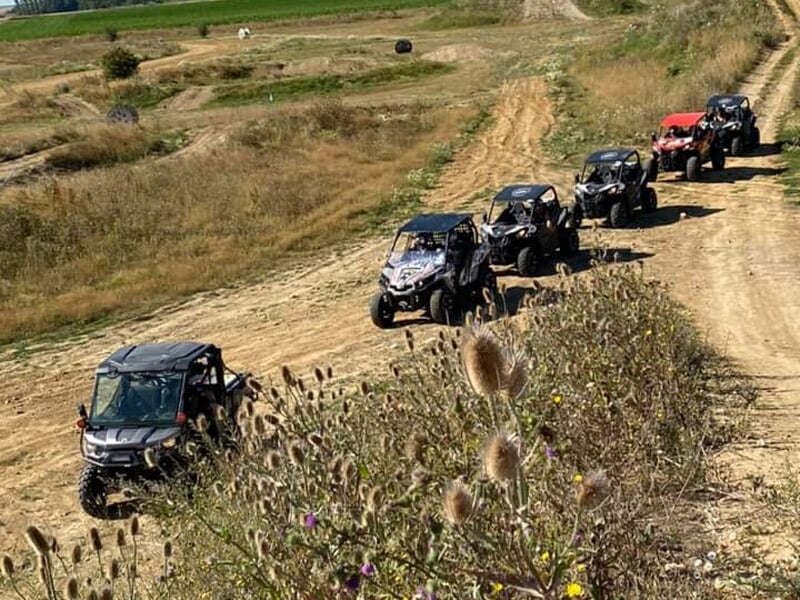 Six buggys en file sur un sentier poussiéreux traversant un terrain sec, avec végétation clairsemée au premier plan.