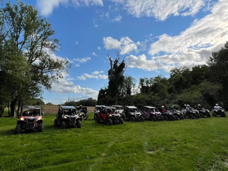 Groupe de buggys garés en ligne sur une pelouse entourée d’arbres, avec ciel partiellement nuageux.