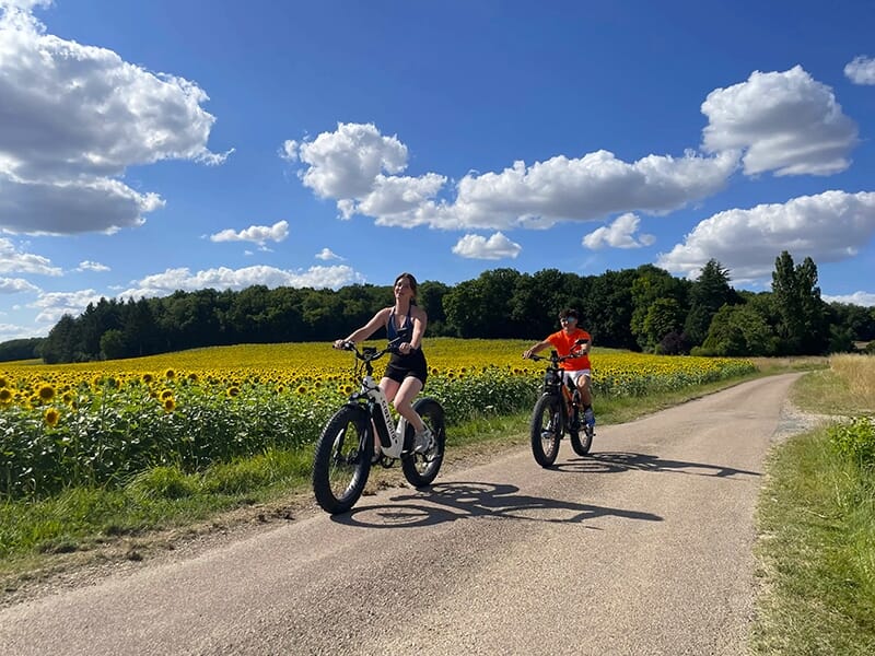 Un homme et une femme roulant en fat bike sur une petite route bordée de champs de tournesols.