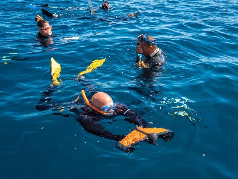 Groupe de plongeurs en surface avec combinaisons et tubas, flottant dans une mer calme et bleue.