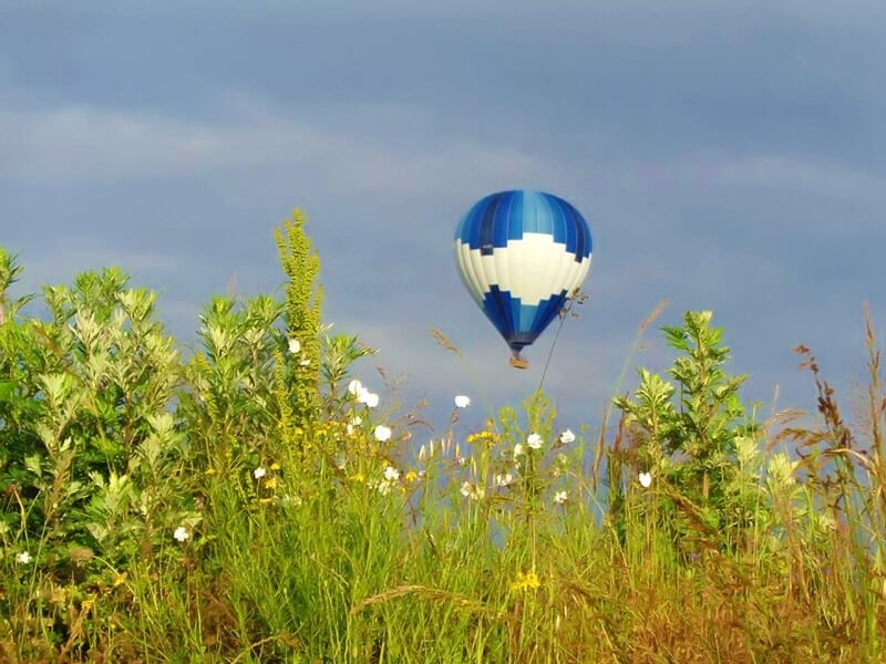 Montgolfière bleue et blanche dans le ciel orageux, au-dessus d'une étendue d'herbes sauvages