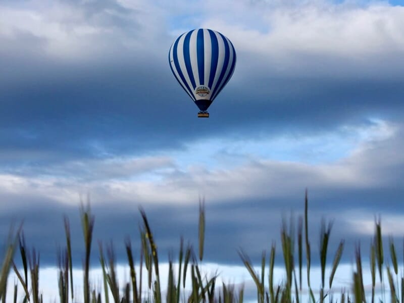 Montgolfière bleue et blanche flottant dans un ciel nuageux au-dessus d'un champ avec des herbes hautes.