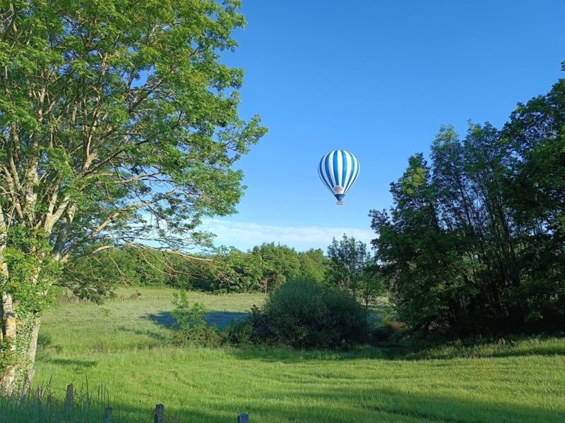 Montgolfière bleue et blanche volant au-dessus d'un paysage vert avec arbres et prairie sous un ciel clair.