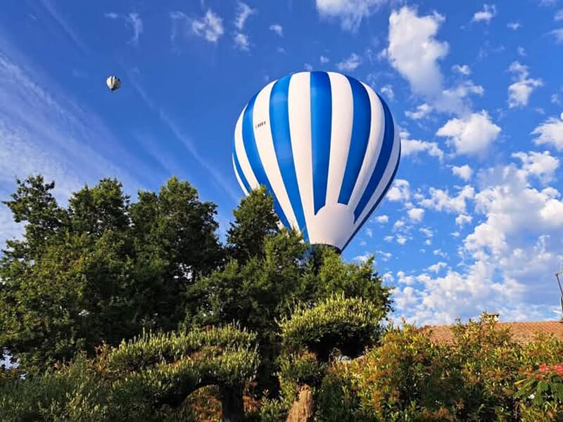 Montgolfière bleue et blanche s'élevant au-dessus d'arbres et de buissons sous un ciel partiellement nuageux.