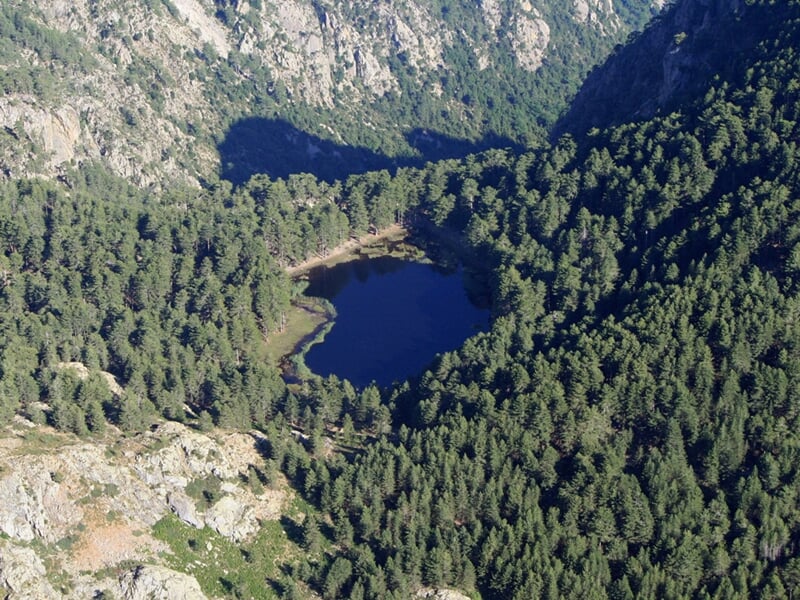 Petit lac en forêt dense vu du ciel, entouré d'arbres verts et de montagnes rocheuses au loin