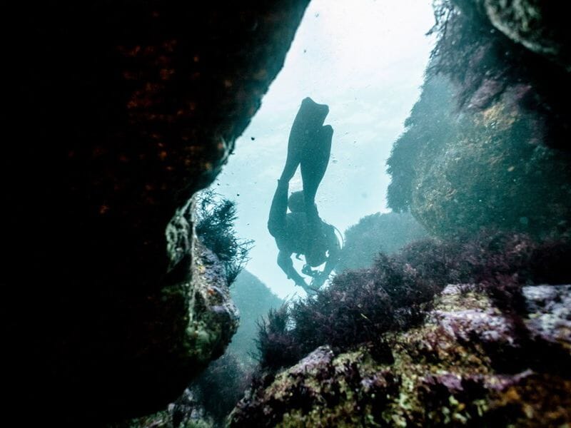 Initiation à la Plongée - Discovery Scuba Diver - Hendaye