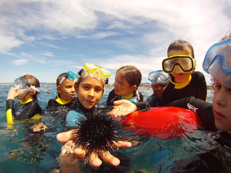 Groupe d'enfants en masque et tuba découvrant la vie marine avec un oursin et un poisson rouge.