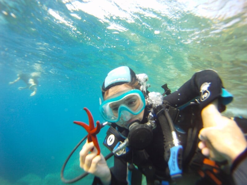 Plongeur tenant une étoile de mer rouge sous l'eau, avec un autre plongeur tendant la main.