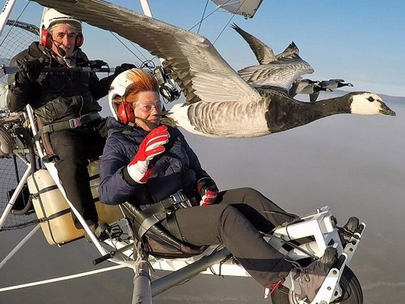 Personne en vol sur un ULM motorisé avec casque, décor naturel et oiseau en vol à côté.